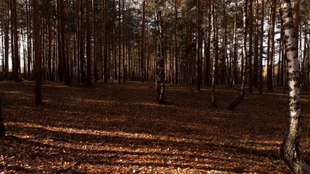 24 часа до смерти ЧАСТЬ 14