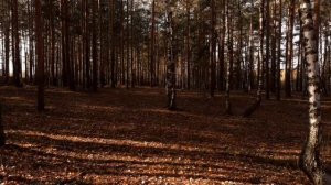 24 часа до смерти ЧАСТЬ 14