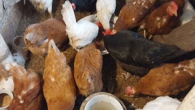 ✅️МК для внучки!🤗 смотреть онлайн