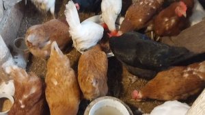 ✅️МК для внучки!🤗