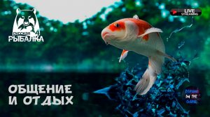 🛑СТАРЫЙ ОСТРОГ -  ОХОТА НА ТРОФЕЙНОГО АМУРА⚡️РУЛЕТКА🔥 🆂🆃🆁🅴🅰️🅼 #РусскаяРыбалка4 #рр4