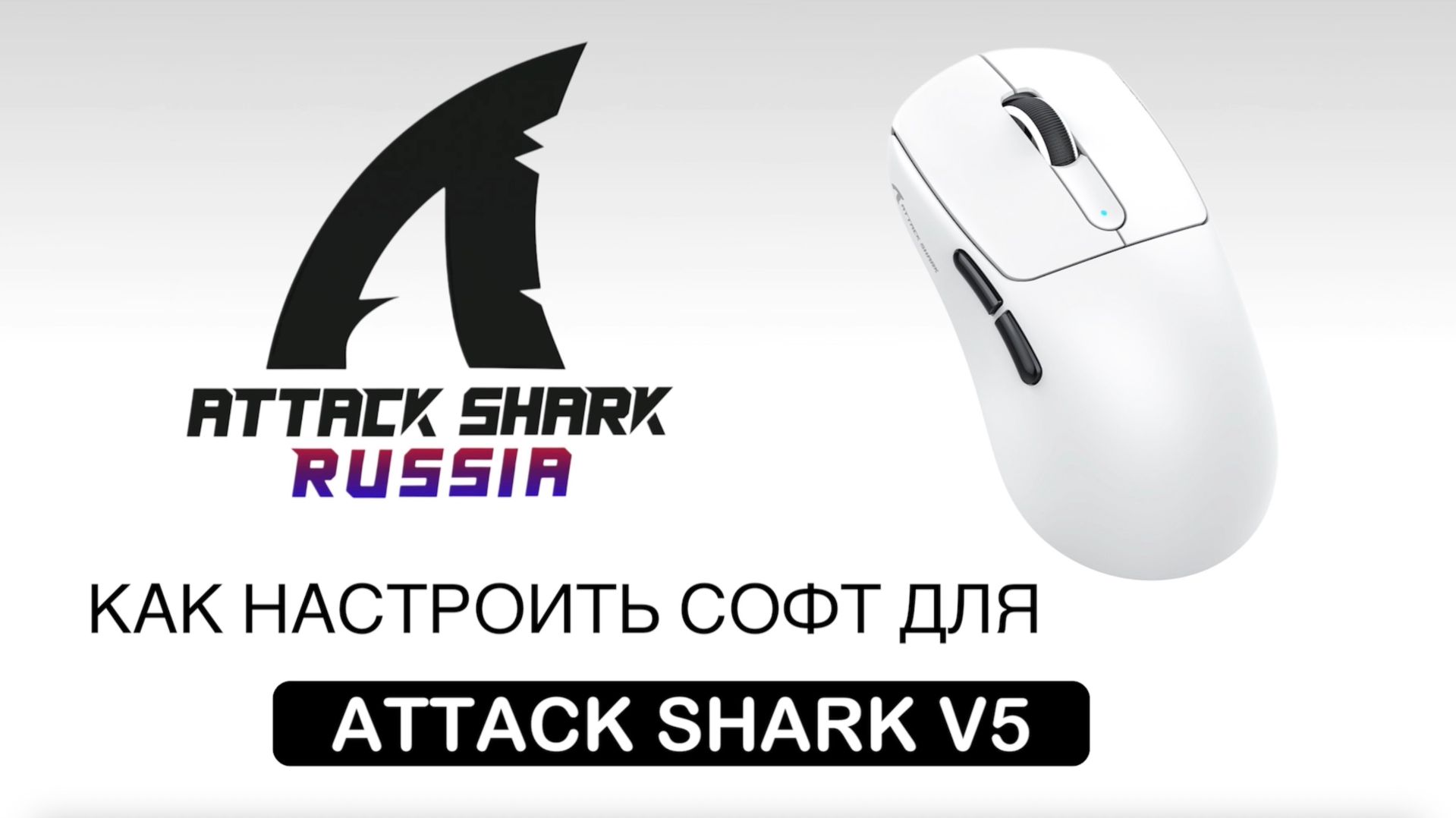 ATTACK SHARK V5 — КАК НАСТРОИТЬ СОФТ | SOFTWARE GUIDE смотреть онлайн