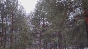 Правила в мире денег. Немного о финансовой грамотности