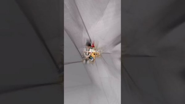 VID_20260215_184018_970