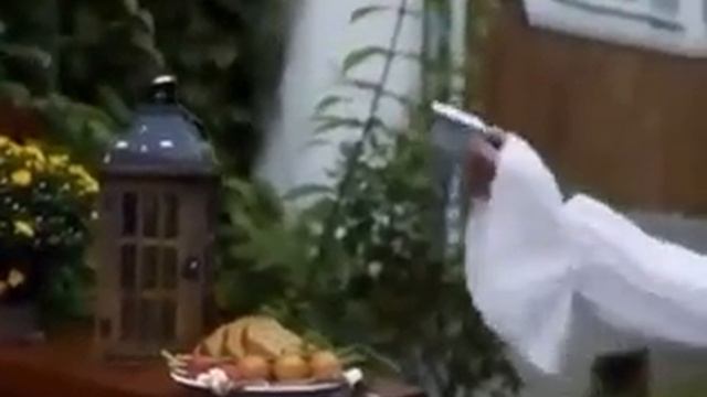 Научный эксперимент и тяга к знаниям смотреть онлайн