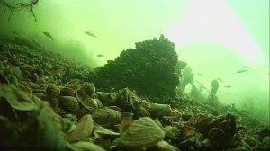 1000009809.mp4Волга гл.2м.15.02.2026г.