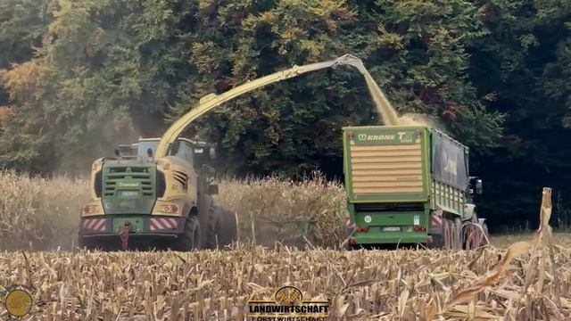 В то время как первая цепочка измельчения погружается в грязь, 2-я цепочка измельчает крону массой 4 смотреть онлайн
