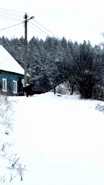 Футаж ПРИРОДА № 502 смотреть онлайн