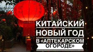 Китайский Новый год в «Аптекарском огороде»