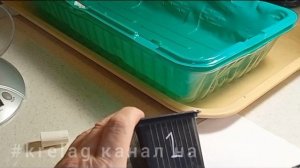 проверка 15 грунтов ✍️на всхожесть и рост рассады