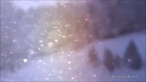 Черёмухи букет.М.Кадырметов.