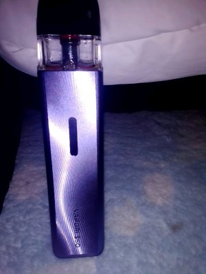 страдаем фигнёй