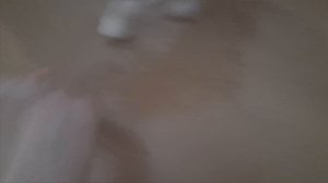 Влог: Игры с собакой.