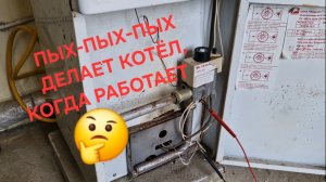 ПЫХ-ПЫХ-ПЫХ 🫣 ЧТО ЗА ЗВУКИ В КОТЛЕ?