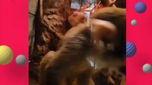 Отличных позитивных выходных!