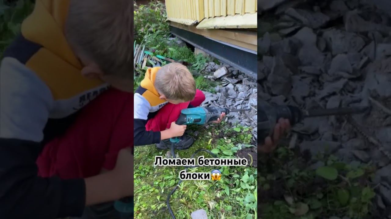 #дача #демонтаж #мужскаясила Все при деле! Все помогают! ☺️