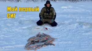 Мой первый пыжьян и еще 5 видов рыбы за одну рыбалку. Зимняя рыбалка 2021.
