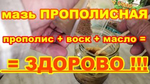 МАЗЬ ПРОПОЛИСНАЯ СВОИМИ РУКАМИ ! Как сделать прополисную мазь самому ! Продукты пчеловодства !