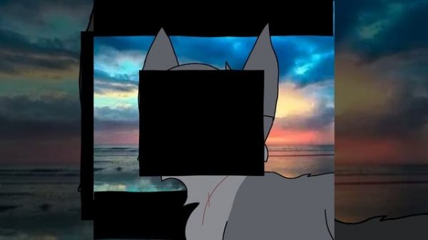 I'm slowly forgetting your face...- Wolf Star