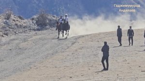 Скачки в с.Анди.3-я партия на 5 кругов.15.02.2026