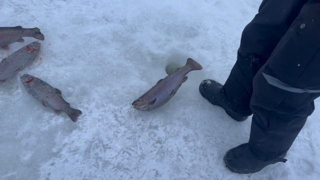 copy_8084A822-61B6-4464-9E11-5E59C14F8195 смотреть онлайн