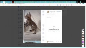 Котята питомника кошек  ДОМАШНИЙ ЛЕОПАРД