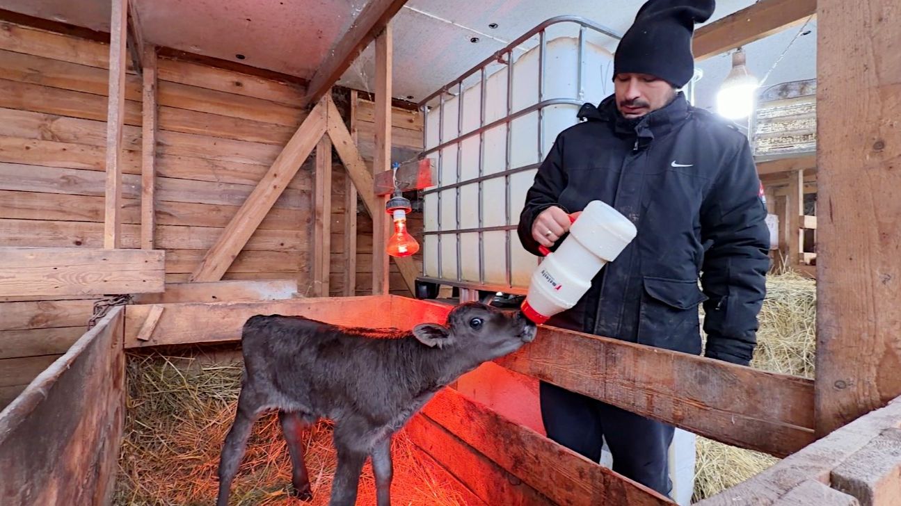 Успели в последний момент. Будни на ферме. Строим дом в деревне. смотреть онлайн