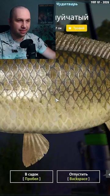 Адриатика РАЗДАЕТ чертей...  ● Русская Рыбалка 4 | РР4