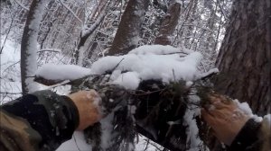 Охота на куницу. Путик, который в этом сезоне не ловит(Будни охотника и рыбака)