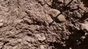 Кочевая жизнь# Иран# 193 часть