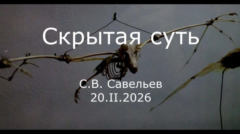 С.В. Савельев - Скрытая суть смотреть онлайн