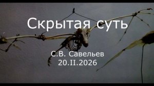 С.В. Савельев - Скрытая суть