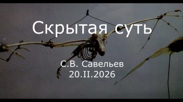 С.В. Савельев - Скрытая суть