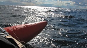 СРЕТЕНЬЕ! Поворот на весну! ЕЁ ВЕЗЁТ НАМ "ЧАЙНЫЙ КЛИПЕР" НА ВСЕХ ПАРУСАХ! Клип моей песни весны!