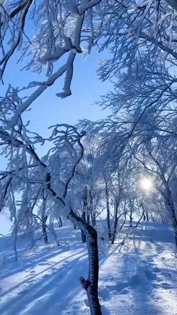 Всё кругом белым-бело. смотреть онлайн