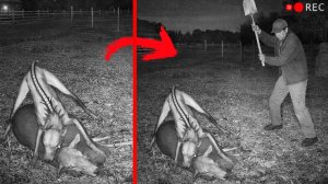 Это все Произошло Вчера! Нечто Необъяснимое Происходит По Всему Миру