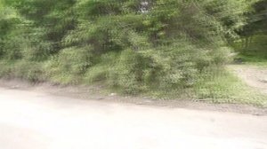 База катеров