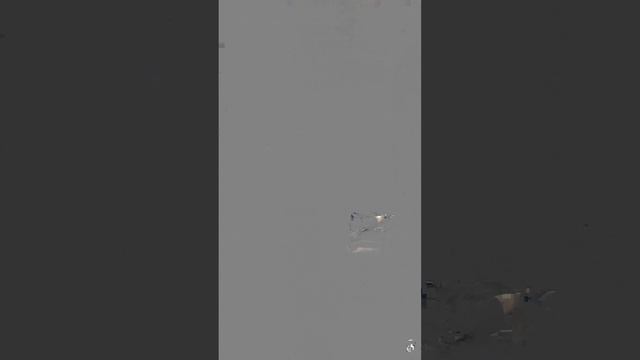 Калинин Алексей заявка на Народные Игры ГТО Спортлото 4 сезон