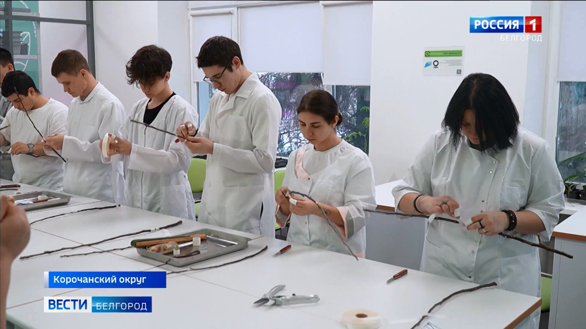 Итоговый выпуск "Вести. Белгород" от 15.02.2026 смотреть онлайн