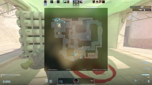 побежал как таракан