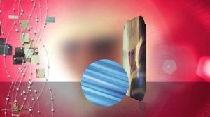 РОЗА НА СНЕГУ