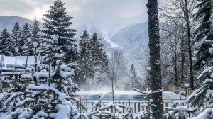 Прекрасная база среди леса в Архызе с бассейном.