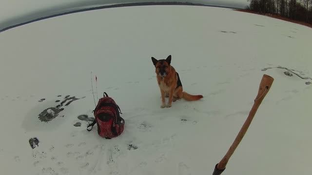 Открытие зимней рыбалки на Селигере.Я по окуню а Джессика...