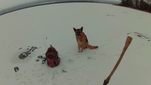 Открытие зимней рыбалки на Селигере.Я по окуню а Джессика...