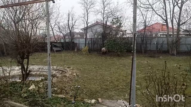 У нас гости...