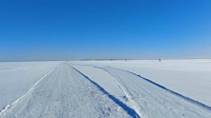 Кронштадт. Дорога к маяку Толбухин (15.02.2026)(2)