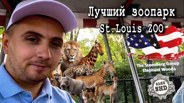 Лучший зоопарк что я видел St. Louis ZOO