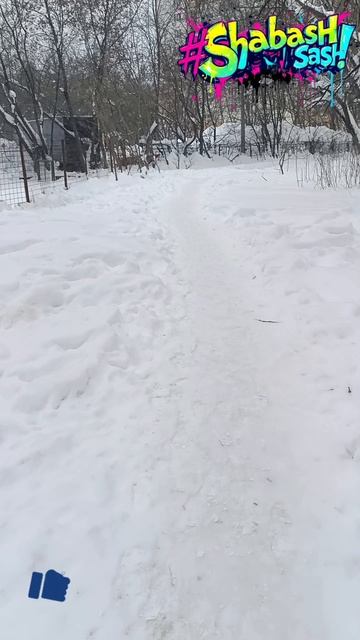 Рубрика вопросики. shorts Шабашсаш