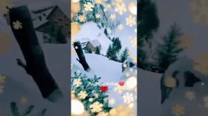 Аккордеон.
Автор Арсен Касиев. ГОВОРЯТ, ЧТО СЕРДЦЕ ПЛАЧЕТ ТОЛЬКО У ЛЮДЕЙ...