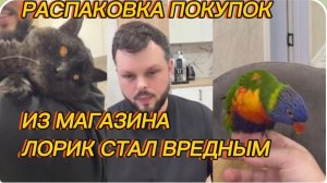 САМВЕЛ АДАМЯН, ПРИЕХАЛ ДОМОЙ, РАСПАКОВКА ПОКУПОК, ЛОРИК ВРЕДНИЧАЕТ..